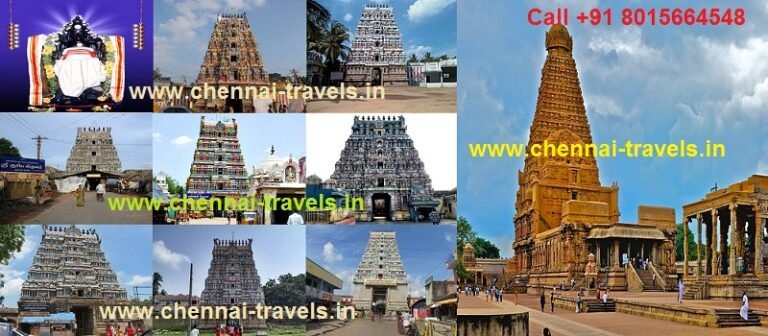 thanjavur local tour package